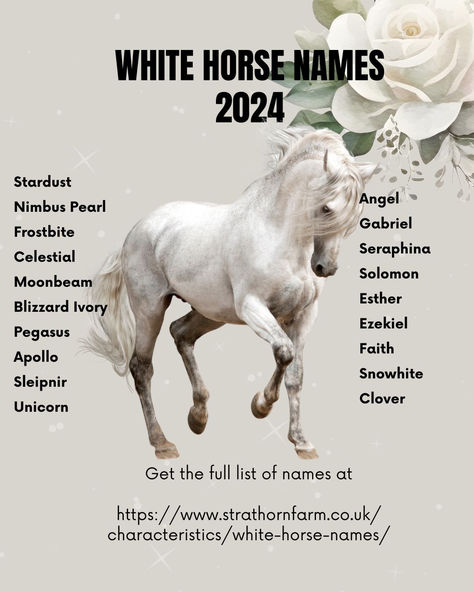 Name your white horse! Check our blog for more ideas #whitehorse Cute Horse Names, Female Horse Names, Horse Name Ideas, Best Horse Names, Sims Names, Disney Horses, Fire Icons, Horse Facts, Best Character Names