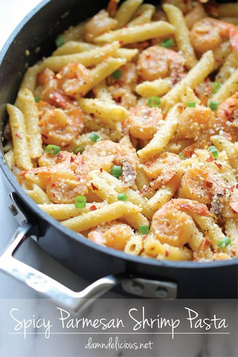 Spicy Parmesan Shrimp Pasta - So flavorful, so spicy and so easy to put together, perfect for those busy weeknights! Parmesan Shrimp Pasta, Shrimp Parmesan Pasta, Parmesan Shrimp, Shrimp Parmesan, Resep Pasta, Fettuccine Alfredo, Spicy Shrimp, Shrimp Dishes, Think Food