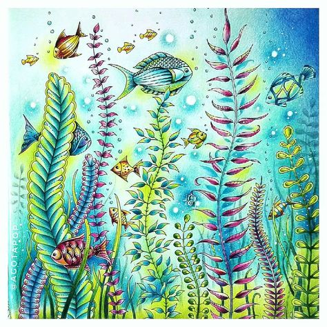 Agota Pop (@agotapop) • Instagram photos and videos Lost Ocean Coloring Book Finished Pages, Johanna Basford Lost Ocean, Lost Ocean Coloring Book, Johanna Basford Books, Ocean Coloring Pages, Joanna Basford Coloring, Joanna Basford, Lost Ocean, Johanna Basford Coloring Book