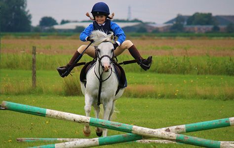 Elphick Event Ponies, Pony Jumping, Club Pictures, Horse Poses, Horse Memes, Jumping Horses, Horse Family, Horse Lessons, Show Jumping Horses