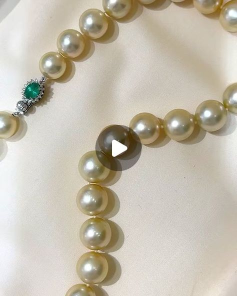 ANNIE CASE FINE JEWELRY on Instagram: "Light Champagne color 11.6-13.5mm Golden South Sea Pearl Necklace with jewel clasp . Perfect Round. Exceptional luster . Clean Surface.
Clasp: 18k white gold . Natural diamond 💎0.28ct. Emerald 1.5ct.
Length 45cm/18inch.
Dm for inquiries.
@anniecasepearl 
.
.
.
.
.
.
.
.
.
YS240220GSN80500
#pearl#pearls#pearljewelry#pearllover#lovepearls#pearladdict#finejewelry#jewelryaddict#jewelryaddiction#anniversarygift#giftforher#birthdaygift#goldensouthseapearls#goldpearls#southseapearls#pearlnecklace#anniecasepearl" Fine Pearl Jewelry, South Sea Pearl Necklace, Instagram Light, Golden South Sea Pearls, Sea Pearl, South Sea Pearls, South Seas, Champagne Color, Pearl Jewelry