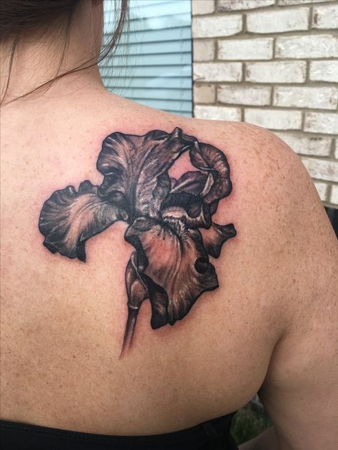 Black And Gray Iris Tattoo, Iris Tattoo Black, Black Iris Tattoo, Iris Flower Tattoo Black, Iris Flower Tattoo, Iris Tattoo, Tattoo Black, Black Iris, Leg Tattoo