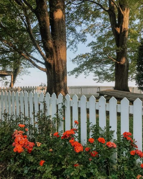 how we named our river cottage - rosehill cottage - rosehill cottage rappahannock - rosehill cottage virginia Rosehill Cottage, Cottage Names, River Cottage, Rose Hill, Farm Ideas, Old Trees, River House, Rose Bush, Rural Area