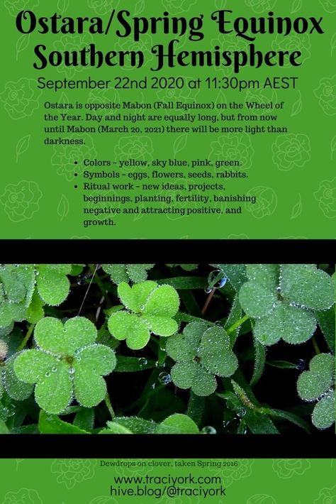 Infographic for Ostara/Spring Equinox, September 22, 2020 in the Southern Hemisphere. Bright #Ostara Blessings! Spring Equinox Southern Hemisphere, Mabon Southern Hemisphere, Ostara Southern Hemisphere, Witchy Graphics, Ostara Blessings, Wiccan Holidays, Witches Wheel, Eclectic Witchcraft, Pagan Festivals