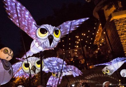 5 Atlanta events you won’t want to miss: August 4–7 Zombie Pub Crawl, Lantern Parade, Owl Lantern, Owl Mask, Round Paper Lanterns, Flying Together, Lantern Ideas, Owl Eyes, How To Make Lanterns