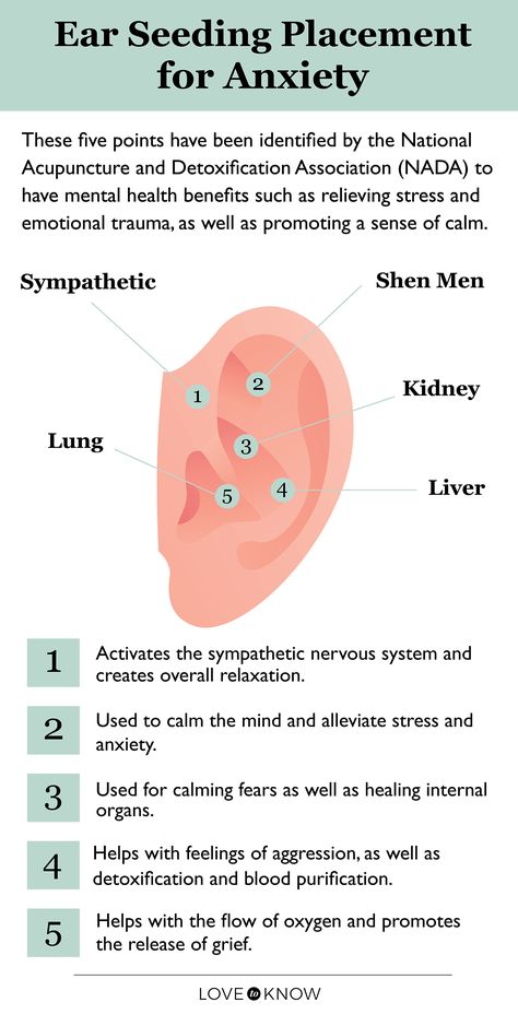 Ear Seed Placement, Ear Acupressure Points, Ear Reflexology, Ear Seeds, Pressure Point Therapy, Self Help Skills, Ear Health, Energy Medicine, Acupuncture Points