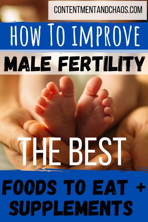 Male Fertility Foods, Fertility Vitamins, Help Getting Pregnant, How To Increase Fertility, Sperm Health, Prostate Health Men, Chances Of Pregnancy, Fertility Supplements, Fertility Foods