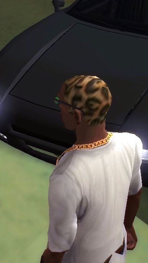 Grand Theft Auto Artwork, Gta Funny, Carl Johnson, Insta Memes, Gta Sa, Image Swag, Mysterious Girl, Funny Profile, Funny Profile Pictures