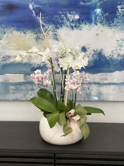 Manzanita Branches, Orchid Arrangements, Orchid Pot, Vase Flower, Pink Mini, Ceramic Pot, Flower Vases, White Ceramics, Orchids