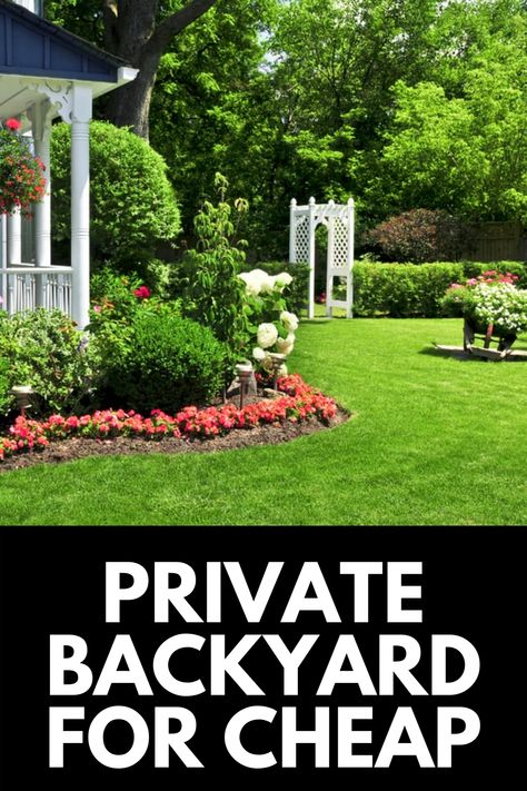 Private Oasis Backyards, Private Yard Ideas, Private Backyard Oasis, Private Backyard Landscaping, Private Backyard, Private Garden Ideas, Square Backyard Landscaping, Private Backyard Ideas, How To Make Your Backyard Private