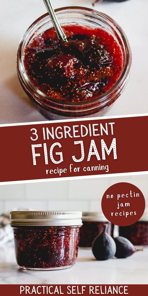 Canning Fruit Recipes, Fig Jelly, Fig Preserves Recipe, Homemade Fig Jam, Refrigerator Jam, Canning Jam Recipes, Fig Jam Recipe, Canning Fruit, Jam Recipes Homemade