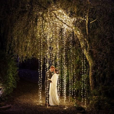 Forest Theme Wedding, String Lights Wedding, Enchanted Forest Wedding, Fairy Wedding, Outdoor Wedding Decorations, Fantasy Wedding, Forest Theme, Woodland Wedding, Wedding 2024