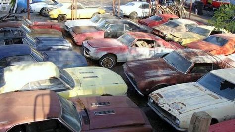 Old Barn Frames for Sale | 75 Muscle Cars For Sale Junkyard Cars, Barn Find Cars, Wrecking Yards, Car Barn, Muscle Cars For Sale, Rusty Cars, Ford Classic Cars, Abandoned Cars, Barn Finds