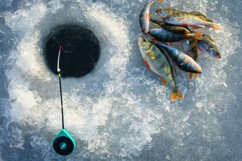 6 safety tips every ice angler should practice Ice Fishing Huts, Ice Fishing Gear, Sea Angling, Fishing Basics, Catfish Bait, Ice Fishing Rods, Modern Farmer, Winter Fishing, Walleye Fishing