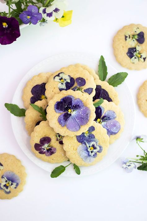 Pansies Sugar Cookies Recipe Healthy Sugar Cookies, Flowers Recipes, Edible Flowers Recipes, Healthy Sugar, Dandelion Recipes, Flower Cookies, Sugar Cookies Recipe, Edible Flowers, Refined Sugar Free