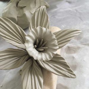 This technique would work with any clay after a bit of practice. The clay I have used here is one of my favourites for modelling with, its Earthstone Special 160 from Valentine Clays. FIred to 1050c. What you will… Pottery Daffodils, Clay Daffodil, Paper Flower Crowns, Pottery Handbuilding, Garden Pottery, Slab Pottery, Hand Built Pottery, Pottery Techniques, Pottery Sculpture