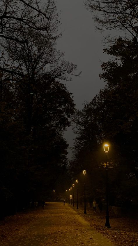 Dark Fall Lockscreen, Autumn Night Wallpaper, Dark Autumn Wallpaper, Autumn Night Aesthetic, Fall Night Aesthetic, Fall At Night, Dark Fall Wallpaper, Dark Academia Wallpaper, Fall Aesthetics