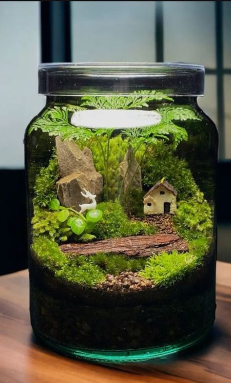 Fantasy Terrarium, Terrarium Scene, Terrarium Design, Beautiful Terrariums, Mini Terrarium, Plant Crafts, Moss Terrarium, Vivarium, Xmas Ideas