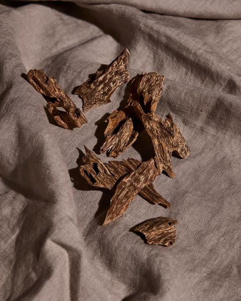 Oud sets the mood 🌳 The scent of burning oud creates a calming and peaceful environment, perfect for relaxation and meditation. 😌✨ Close your eyes, take a deep breath, and let the captivating aroma of oud transport you to a forest of dreams. Have you tried burning oud chips? What are your thoughts? 🌟�💫 #oud #oudchip #scent #relaxation Oud Perfume Aesthetic, Patchouli Aesthetic, Oud Aesthetic, Aroma Aesthetic, Oud Photography, Oud Wood Perfume, Arabic Market, Perfume Ingredients, Oud Candle