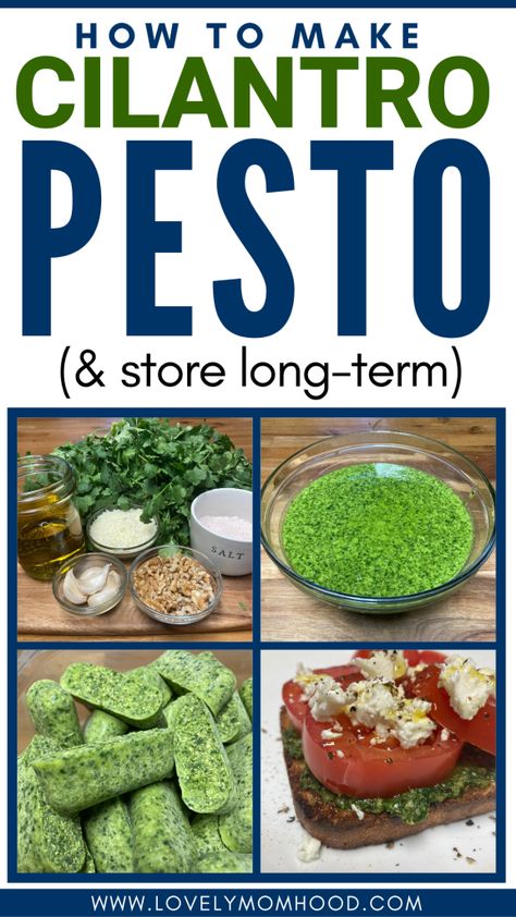 Today I will show you how to make this easy and fast cilantro pesto recipe and store it long-term so you can use it year-round when needed. Homemade Pesto Recipe, Pesto Recipes, Cilantro Recipes, Cilantro Pesto, Homemade Pesto, Pesto Recipe, Garden Recipes, How To Store, Healthy Kitchen