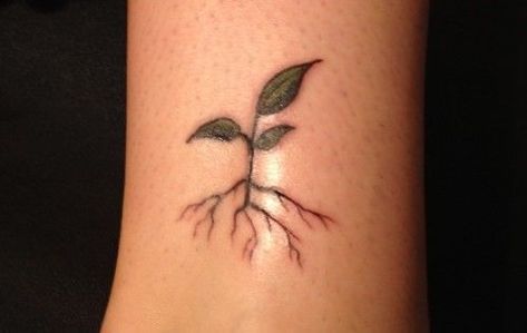 Roots Ankle Tattoo, Tree Sprout Tattoo, Tree Sapling Tattoo, Sprout Tattoo Plant, Plant Roots Tattoo, Plant Growth Tattoo, Herbivore Tattoo, Root Tattoo Ideas, Planted Tattoo