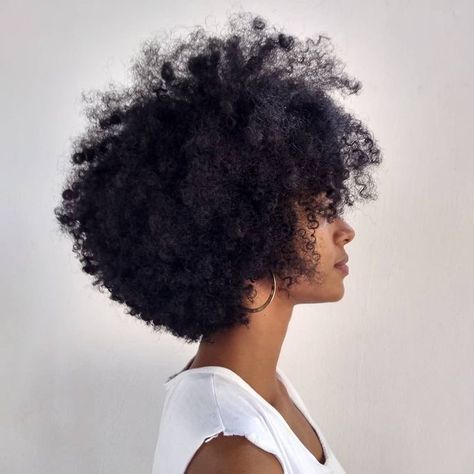 Curly Cuts, Cabello Afro Natural, Natural Curly Hair Cuts, Afro Natural, Natural Hair Cuts, Natural Hair Short Cuts, Pelo Afro, Natural Hair Beauty, Afro Hair