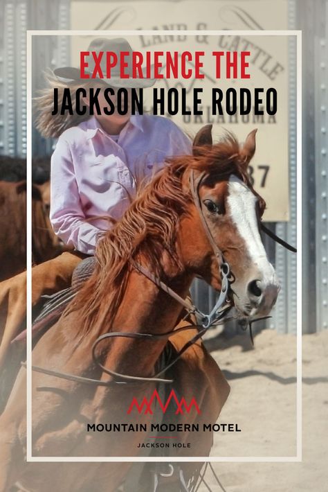 A Wild West Experience at the Jackson Hole Rodeo | Mountain Modern Motel Jackson Hole Rodeo, Saddle Bronc Riding, Jackson Hole Winter, Jackson Hole Skiing, Snow Lake, Bronc Riding, Rodeo Events, Wyoming Travel, Jackson Hole Wyoming