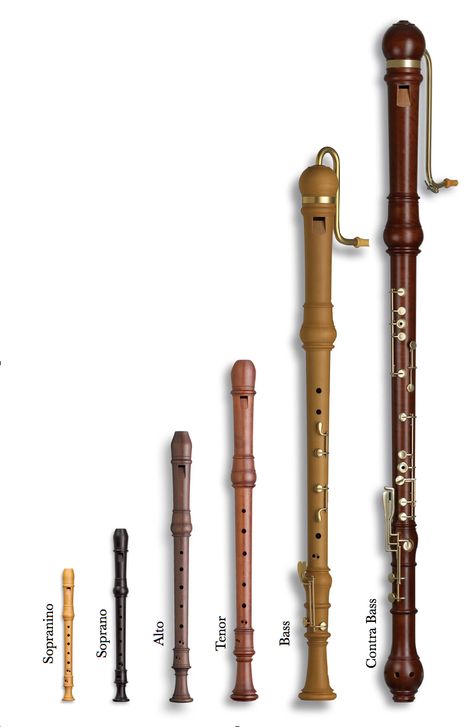 Recorder Musical Instrument, Flute Recorder, Instrument Families, Picture Background, Music Tabs, Woodwind Instruments, Folk Instruments, Recorder Music, Music And Movement