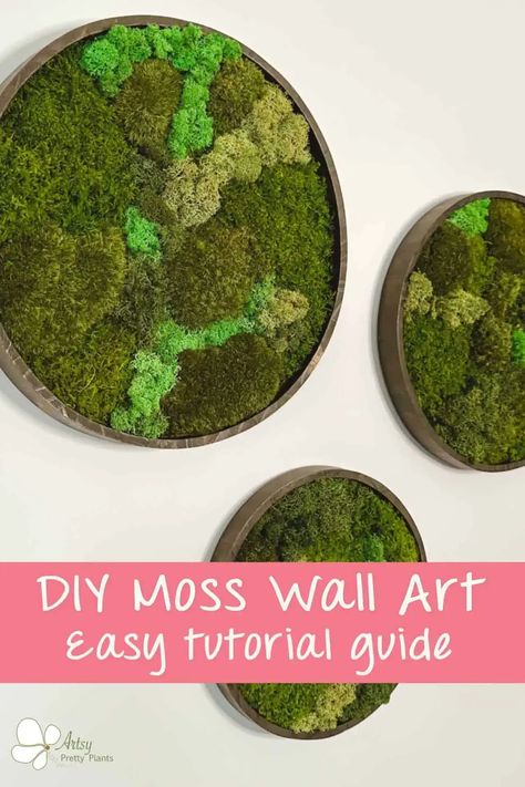 Diy Moss Wall Art, Diy Moss Wall, Mos Wand, Moss Gardens, Diy Moss, Types Of Moss, Wall Art Tutorial, Living Wall Art, Moss Decor