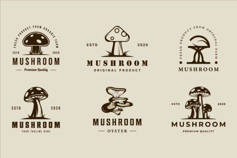 set of mushroom logo vector vintage illustration template icon graphic design. bundle collection of various oyster organic food sign or symbol for farm product with retro style set, mushroom, logo, ve... Mushroom Logo Ideas, Mushroom Sign, Gourmet Mushrooms, Mushroom Logo, Icon Graphic Design, Mushroom Farm, Mushroom Graphic, Logo Design Set, Illustration Template