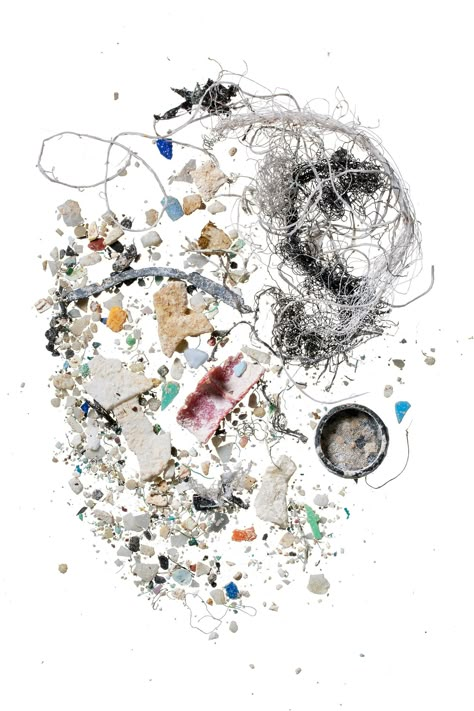 Microplastics have invaded virtually every crevice on Earth | National Geographic Marine Pollution, Tiny Fish, Ocean Pollution, Awareness Poster, Things Under A Microscope, Plastic Pollution, Eco Design, A Day In Life, Image Collection