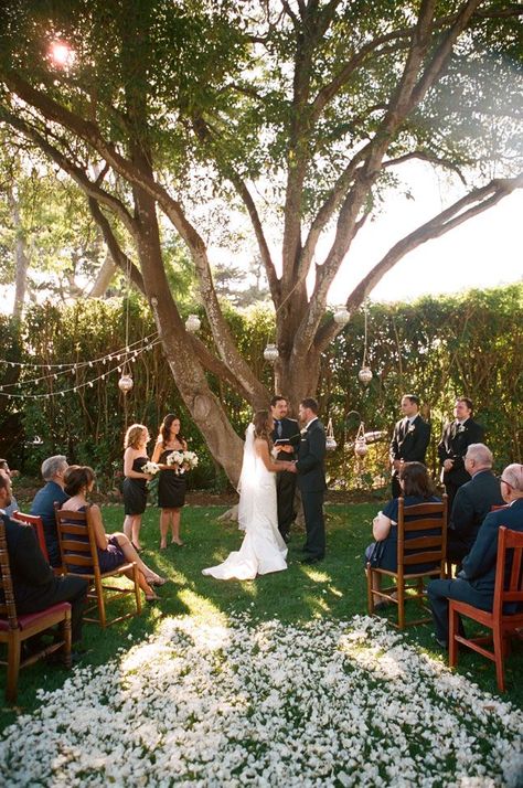 romantic and intimate backyard wedding ceremony ideas Small Outdoor Wedding, Backyard Wedding Decorations, Romantic Backyard, Backyard Wedding Ceremony, Diy Backyard Wedding, Small Backyard Wedding, Wedding Isles, Wedding Ceremony Ideas, Wedding Aisle