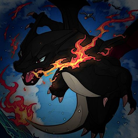 Charizard shiny Shiny Charizard, Eric Garcia, Pokemon Story, W Pfp, Pokemon Masters, Pokemon Icon, Starter Pokemon, Digimon Pokemon, Sonic Videos