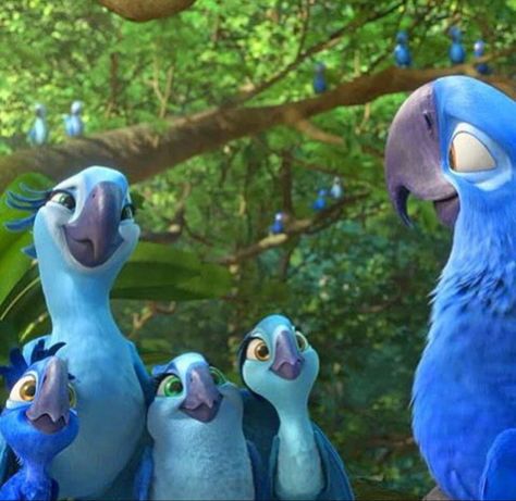 Rio 2 Movie, Rio Aesthetic, Rio Movie, Blue Sky Studios, Lion King Pictures, Rio 2, Dream Catcher Art, Disney Animated Movies, Childhood Movies