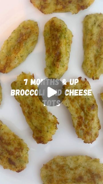 Natalie | Motherhood | Recipes | 7 months & Up Broccoli & Cheese Tots 🥦🧀  If you’re looking for a way to transition your little one from purées to solids a lot of people... | Instagram Broccoli For 8 Month Old, Broccoli And Cheese Tots, Blw Broccoli Tots, Broccoli Tots For Babies, Broccoli Toddler Recipes, Blw Recipes 7 Months Baby Led Weaning, Meal Prep Baby Led Weaning, Baby Breakfast Ideas 7 Months, Broccoli For Baby