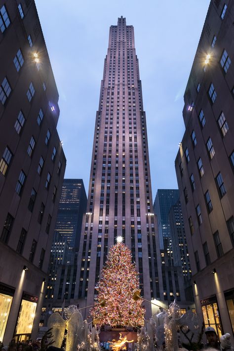 Christmas in NYC is synonymous with the giant Christmas tree and ice-skating rink at the Rockefeller Plaza. The Rockefeller Center tree is on display from mid-November until early January. It's decorated with 50,000+ coloured LED lights and topped with a Swarovski crystal star! Click the link for more things to do at Christmas in New York. #newyork #rockefellercentrechristmastree #rockefellercentre #christmastree #rockefellerchristmastree #manhattan #christmasinnewyork #christmas #america #usa Things To Do At Christmas, New York At Christmas, Giant Christmas Tree, What To Do In Nyc, Nyc In December, Rockefeller Plaza, Christmas In Nyc, Christmas In New York, Things To Do In Nyc