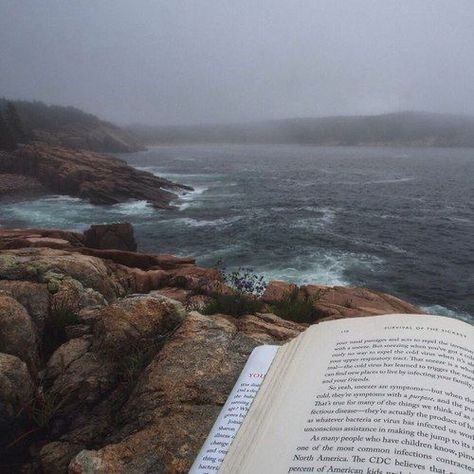 Nautical Aesthetic, Ocean Images, Academia Aesthetics, Lighthouse Keeper, Cottage By The Sea, Tove Jansson, Abandoned Mansions, Virginia Woolf, Nature Collection