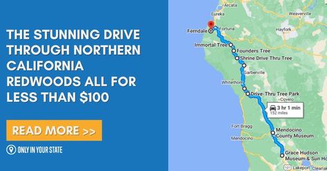 This itinerary is perfect for those who don’t want to drive long stretches across the country but crave the sight-seeing road trip experience. Northern California Road Trip, Shasta Lake, June Lake, Michigan Adventures, California Road Trip, Sight Seeing, Affordable Vacations, Lassen Volcanic National Park, California Travel Road Trips