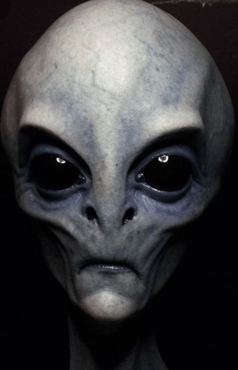 Robots Art, Alien Pictures, Alien Artwork, Alien Face, Other Galaxies, Grey Alien, Light Speed, Arte Alien, Alien Concept