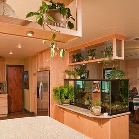 Built-in #Aquarium Room Divider with #Planter #Shelving. #Kitchen Remodel designed by Designs by Christine featuring Dura Supreme #Cabinetry. Partition With Aquarium, Built In Aquarium, Aquarium Room, Blue Kitchen Interior, Fish Tank Cabinets, Fish Tank Wall, Wall Aquarium, Living Room Partition, Living Room Partition Design