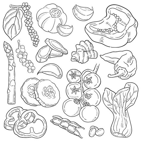 Premium Vector | Food and baverage doodle vector line art Menu Illustration, Vector Line Art, Doodle Vector, Vector Food, Apps Icon, Vector Line, Hand Drawn Illustration, Big Art, Drawn Illustration