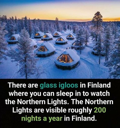 50 Bits Of Information From The ‘Unusual Facts’ FB Page That May Raise Eyebrows Finland Northern Lights, Finland Facts, Glass Igloo, Mind Unleashed, Unusual Facts, Secret Escapes, Marianas Trench, Solar Technology, Star Light