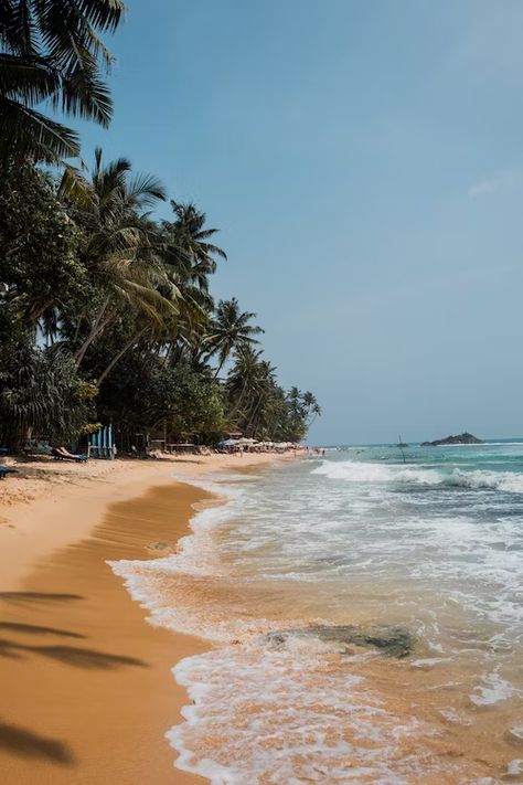 landscape photography of silhouette of palm trees during sunset photo – Free Sunset Image on Unsplash Unawatuna Sri Lanka, Sri Lanka Beach, Sunset Images, Flower Diy, Sunset Photos, Countries Of The World, Holiday Travel, Hd Photos, Sri Lanka