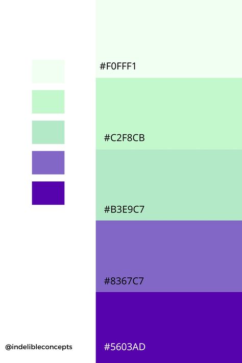 Lavender And Mint Color Palette, Mint And Purple Color Palette, Mint Green Color Pallete, Purple Green Aesthetic Pastel, Mint Pallete Color, Green Mint Color Palette, Purple Green Blue Color Palette, Purple And Green Colour Palette, Mint Green Colour Palette