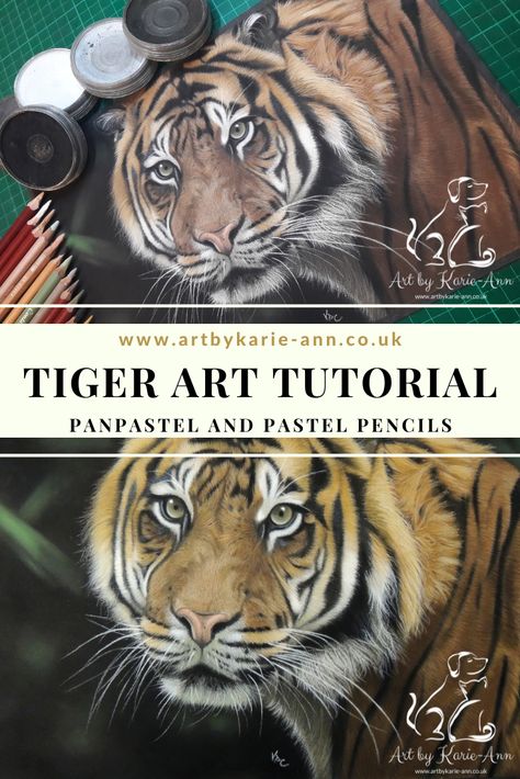 Watch my easy to follow video art tutorial to create this beautiful tiger yourself! Using panpastels and pastel pencils, my art tutorial will show you every mark on the paper. My videos are recorded in real time with no editing out the mistakes, you see everything! Pastel Pencil Art Tutorials, Tiger Oil Pastel, Pastel Pencil Art, Pastel Drawing Tutorial, Tiger Video, Pencils Art, Beautiful Tiger, Record Art, Art Videos Tutorials