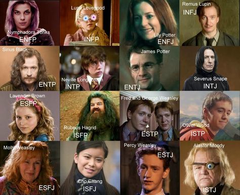 Harry Potter personality chat. I'm lily Harry Potter Personality Quiz, Harry Potter Personality, Entp And Intj, Harry Potter Character, Harry Potter Quiz, Personality Psychology, Fred And George Weasley, Myers Briggs Personality Types, Character Types