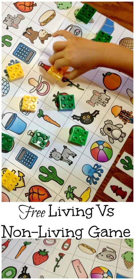 Get a free game and sorting cards to assist you in teaching your living vs non-living unit. There are other activities, such as emergent readers available too. Living Non Living Worksheet, Plants Science, Living And Nonliving, Partner Quotes, Ela Centers, Science Boards, Science Games, Study English, Doodle Alphabet