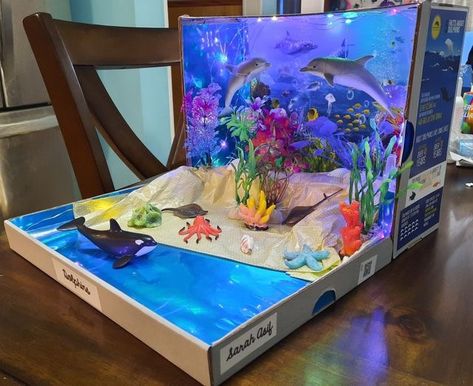 Marine Biome Shoebox Project, Shark Habitat Diorama, Dolphin Diorama Projects For Kids, Dolphin Habitat Project For Kids, Aquatic Ecosystem Project, Orca Habitat Project, Ocean Biome Shoebox Project, Orca Diorama, Biome Project Ideas Ocean