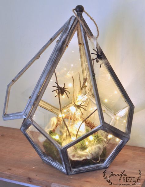 creepy Halloween terrarium transformed into a spider habitat Terrarium Halloween, Jumping Spider Habitat, Spider Habitat, Halloween Terrarium, Spider Scary, Halloween Mantel Decor, Fairy Terrarium, Scary Spider, Real Spiders