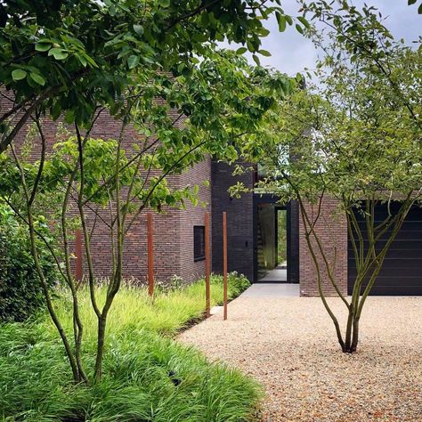 Colm Joseph Gardens on Instagram: “pathway to front door in one of our cambridgeshire gardens a minimalist composition of ornamental grass planting and multi-stem trees,…” Limestone Gravel, Backyard Dreams, Courtyard Design, Dry Garden, Garden Design Layout, Gravel Garden, Garden Architecture, Wall Garden, Dream Backyard